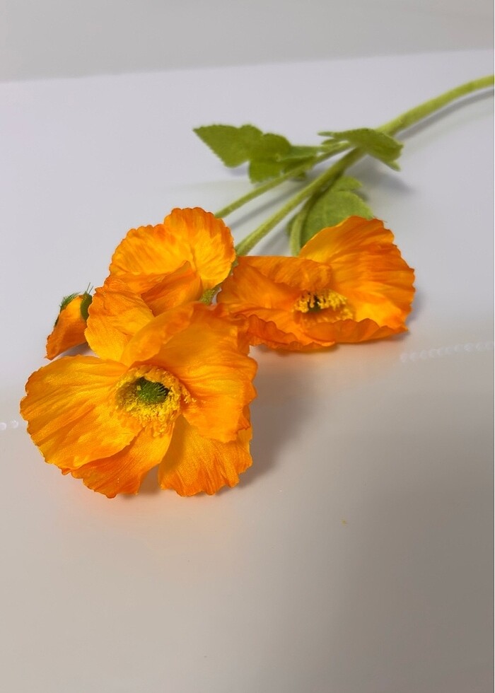 Yapay gelincik - Görsel 4