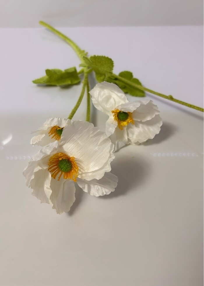 Yapay gelincik - Görsel 5