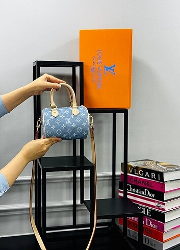 LOUIS VUITTON SPEEDY 20 ??17 CM ??12 CM