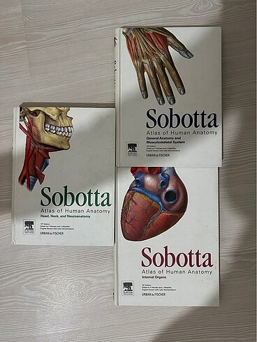 Sobotta anatomi atlası