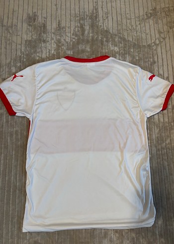 Stuttgart forma - Görsel 5