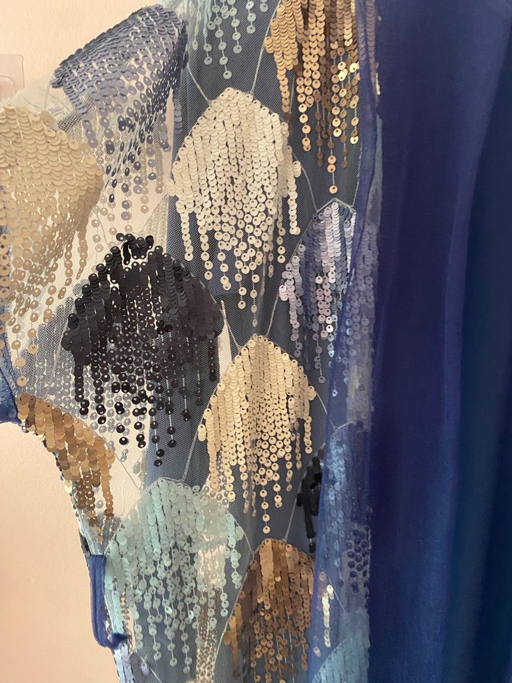 Uzun Mavi Kadın Elbise - Görsel 3