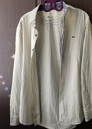 Lacoste gömlek 
