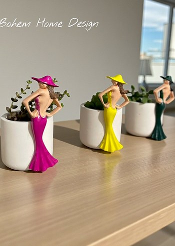 Paris Kız sukulent saksı - Görsel 2