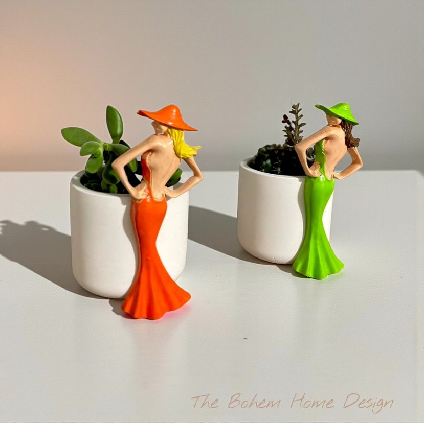 Paris Kız sukulent saksı - Görsel 3