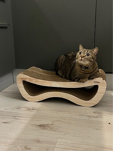 Felidae Kedi Tırmalama Kanepesi - Orta Boy - Açık renk