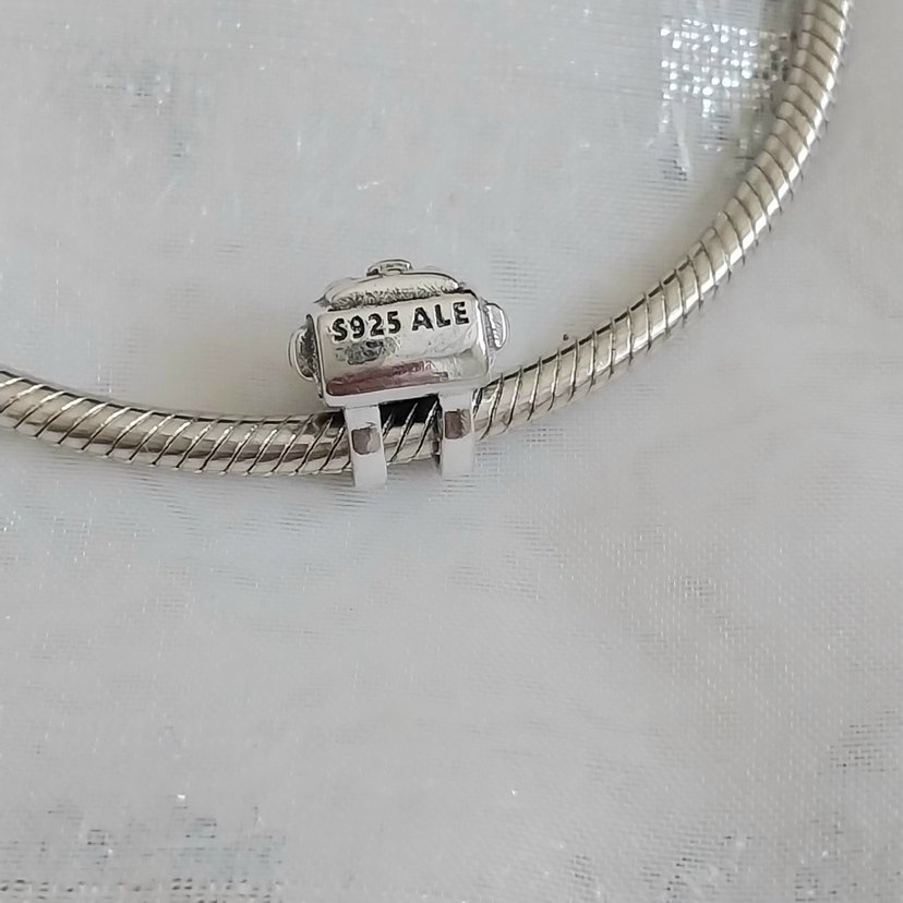 Pandora Macera Sırt Çantası Charm - Görsel 4