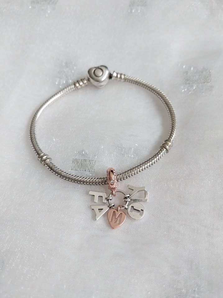 Pandora Family Sallantılı Charm - Görsel 2