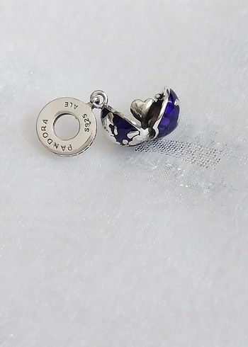 Pandora Açılabilir Kalpli Dünya Charm - Görsel 3