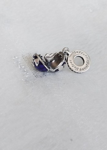 Pandora Açılabilir Kalpli Dünya Charm - Görsel 4