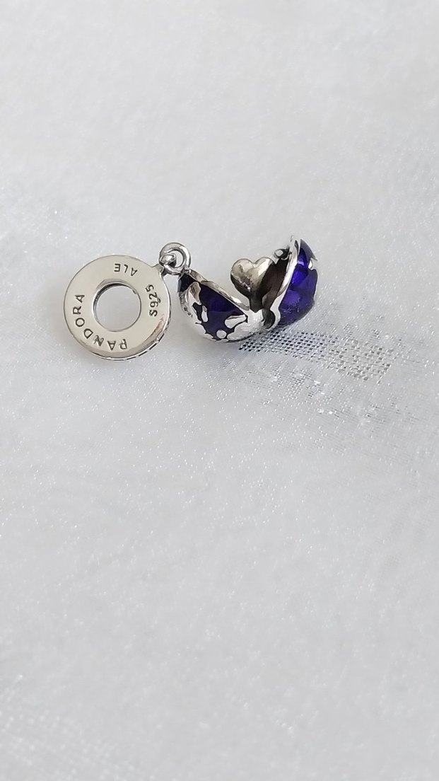 Pandora Açılabilir Kalpli Dünya Charm - Görsel 3