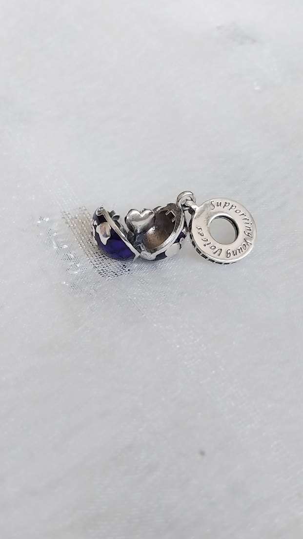 Pandora Açılabilir Kalpli Dünya Charm - Görsel 4