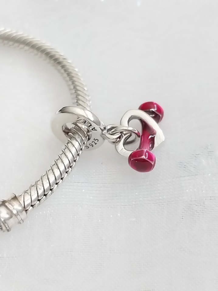 Pandora Kalpli Halter Charm - Görsel 3