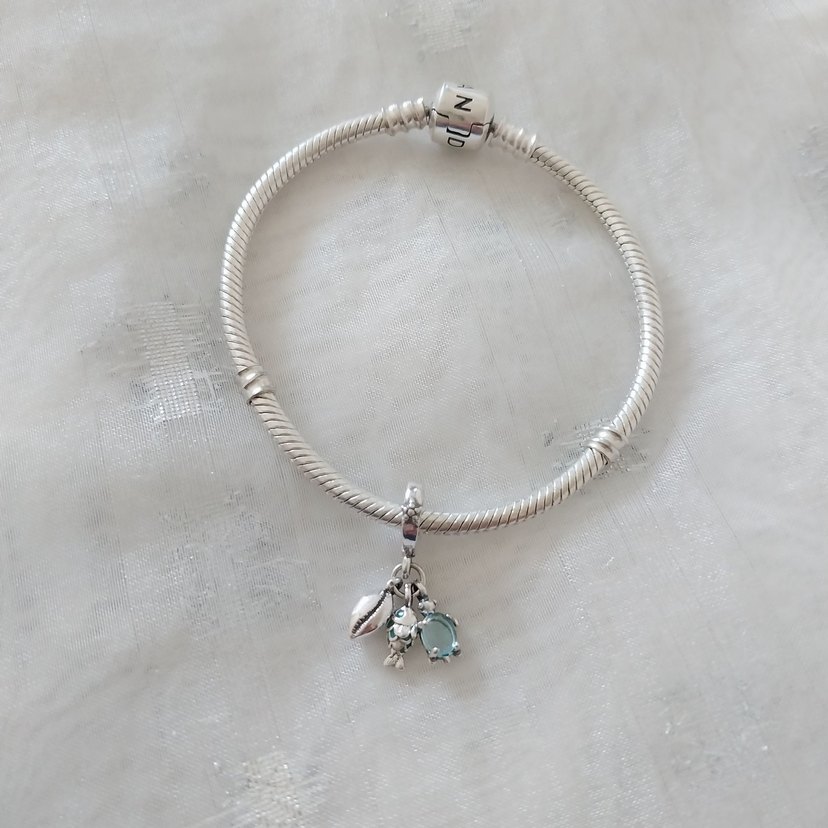 Pandora Balık Kaplumbağa ve Deniz Kabuğu - Görsel 2