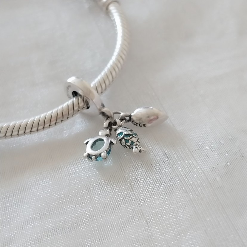 Pandora Balık Kaplumbağa ve Deniz Kabuğu - Görsel 5