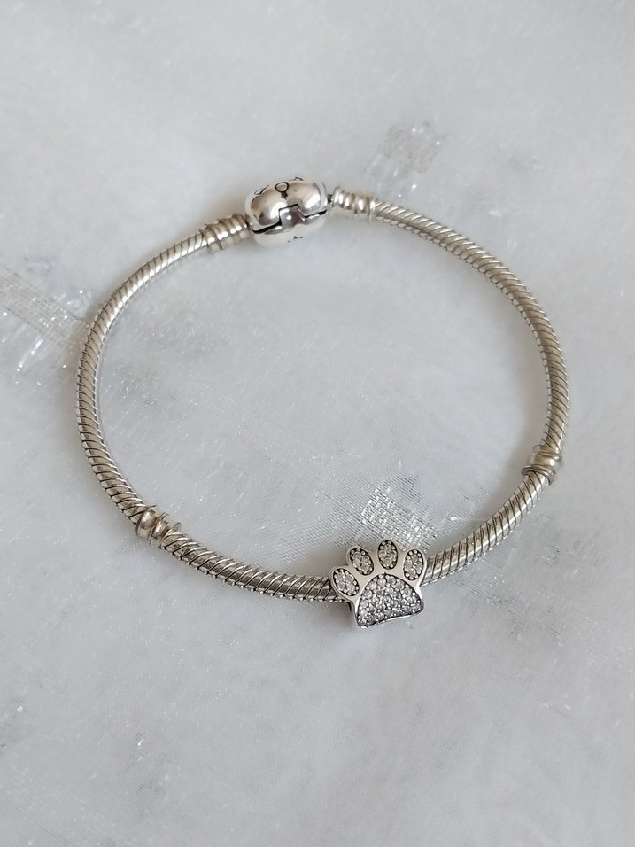 Pandora Pati Charm - Görsel 2