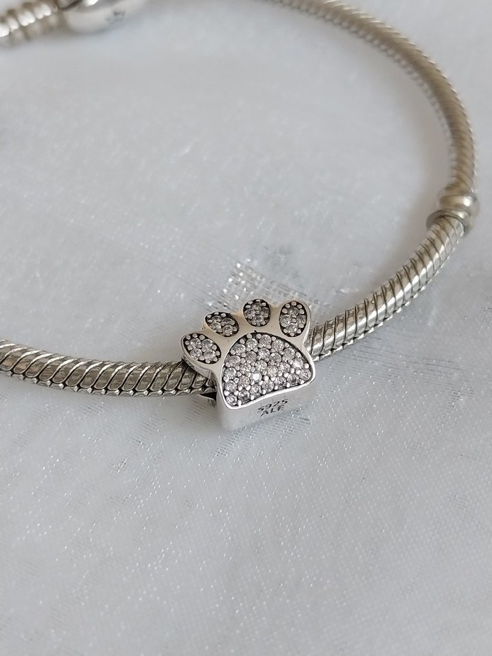 Pandora Pati Charm - Görsel 3