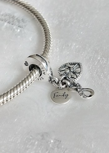 Pandora Family Sonsuz Sevgi Charm - Görsel 3