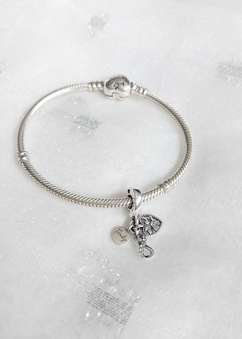 Pandora Family Sonsuz Sevgi Charm - Görsel 2