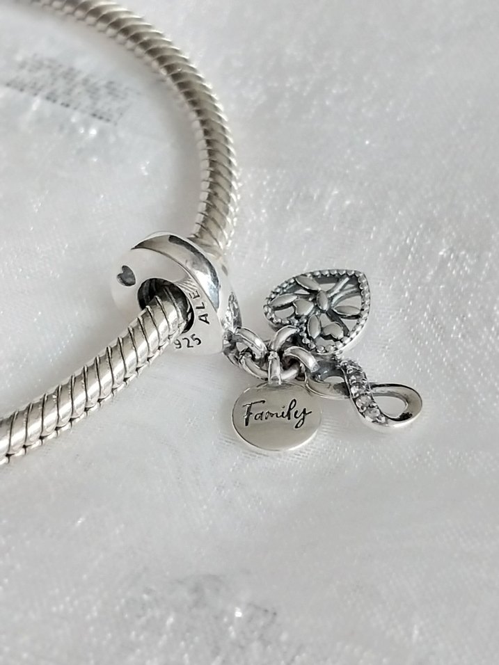 Pandora Family Sonsuz Sevgi Charm - Görsel 3