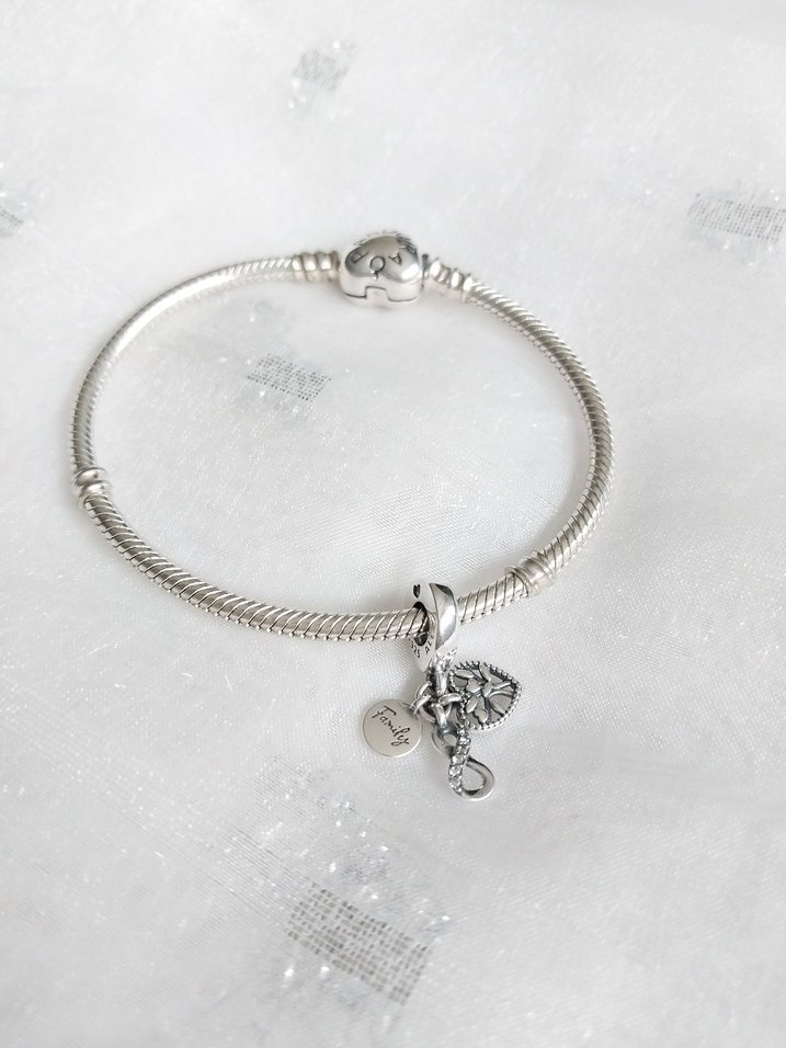 Pandora Family Sonsuz Sevgi Charm - Görsel 2