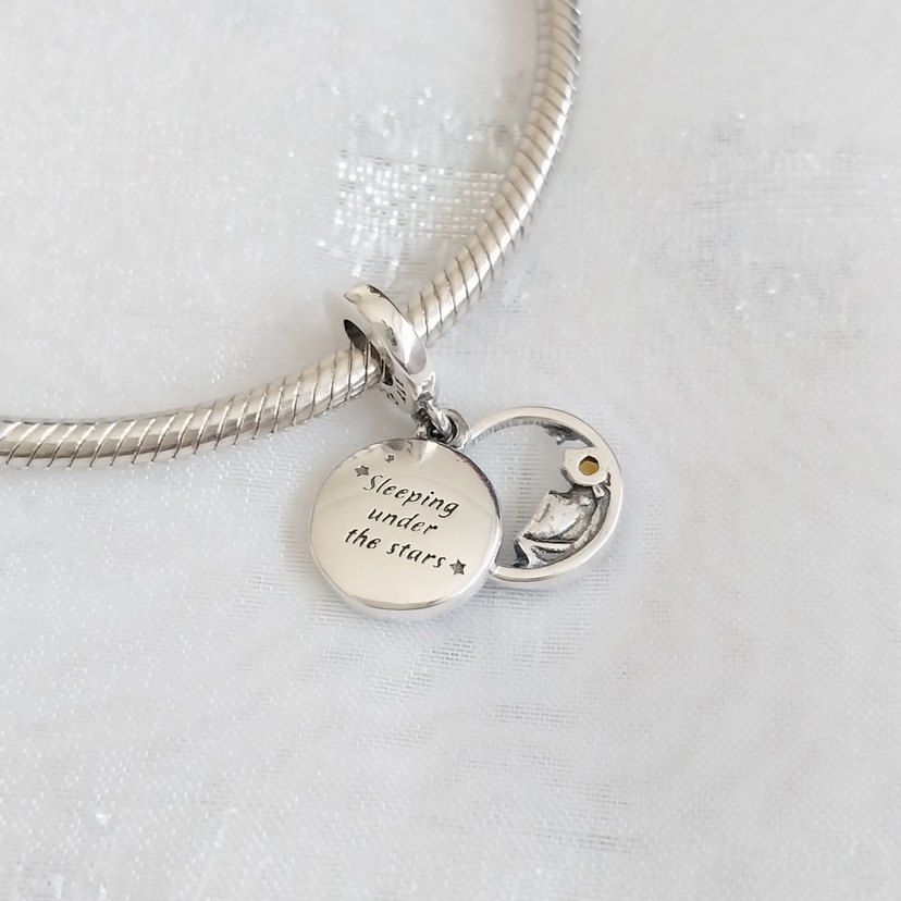 Pandora Kamp Charm - Görsel 3