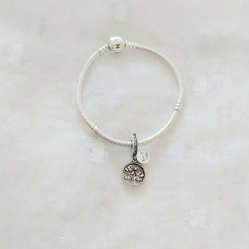 Pandora Family Hayat Ağacı Charm - Görsel 2