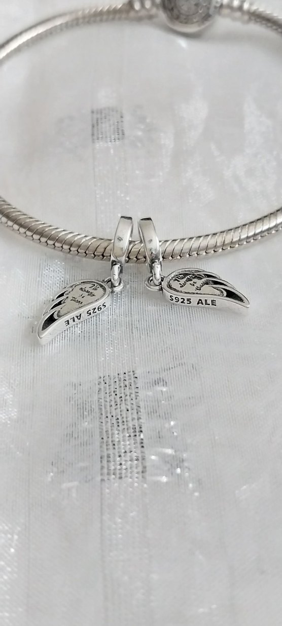 Pandora Melek Kanatları Charm - Görsel 4