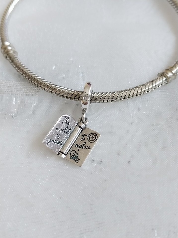 Pandora Açılabilir Pass Port Charm - Görsel 4