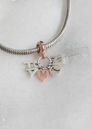 Pandora Family Sallantılı Charm