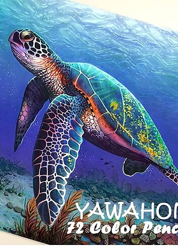 Profesyonel Yağ Bazlı 72 Renk Boya Seti - Görsel 5