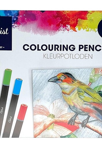  Beden 24 Renk Yağ Bazlı Boyama Kalemleri 