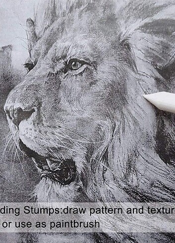 Profesyonel Boya Kalemleri Seti - Görsel 5