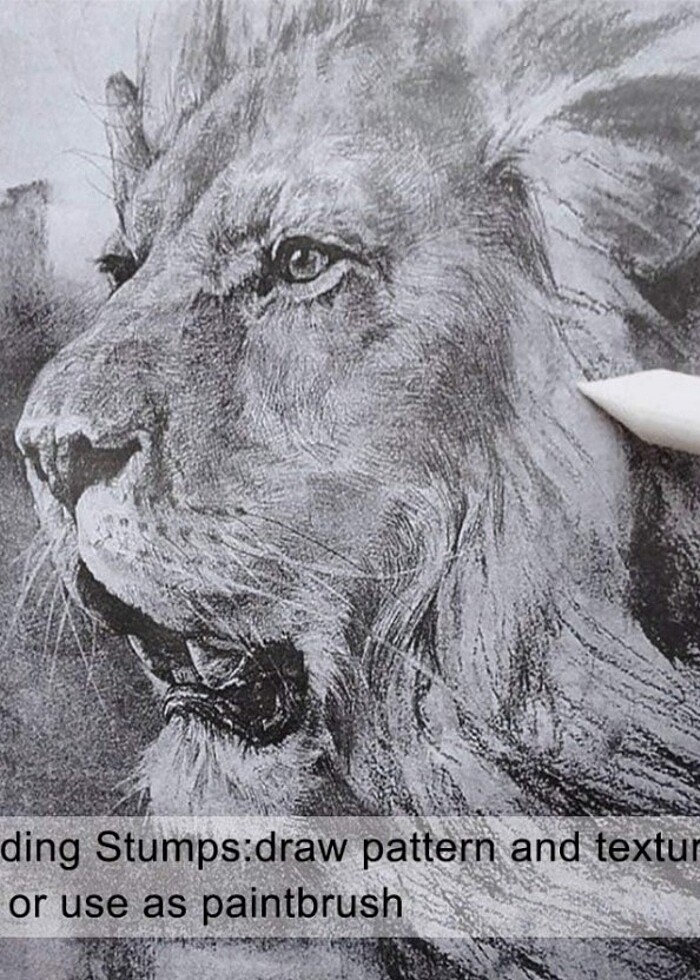 Profesyonel Boya Kalemleri Seti - Görsel 5