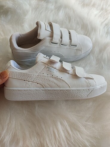 Puma bayan