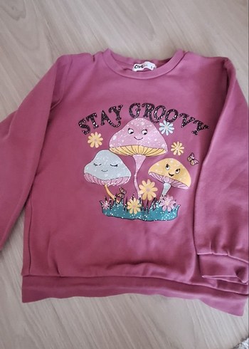 Pembe Kız Sweatshirt takım
