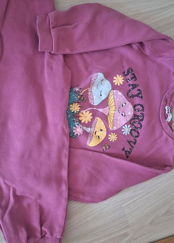 5 Yaş Beden pembe Renk Pembe Kız Sweatshirt takım