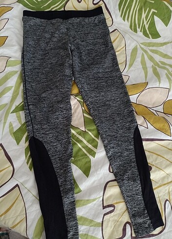 Spor tayt