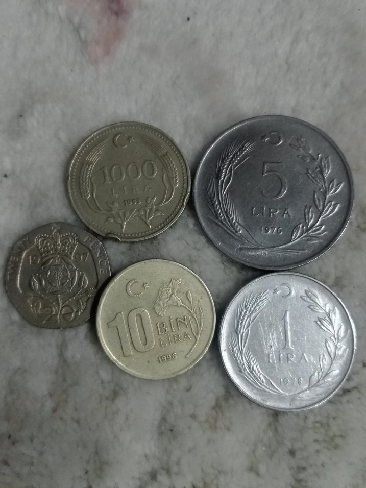 koleksiyonculara özel eski madeni paralar - Görsel 2