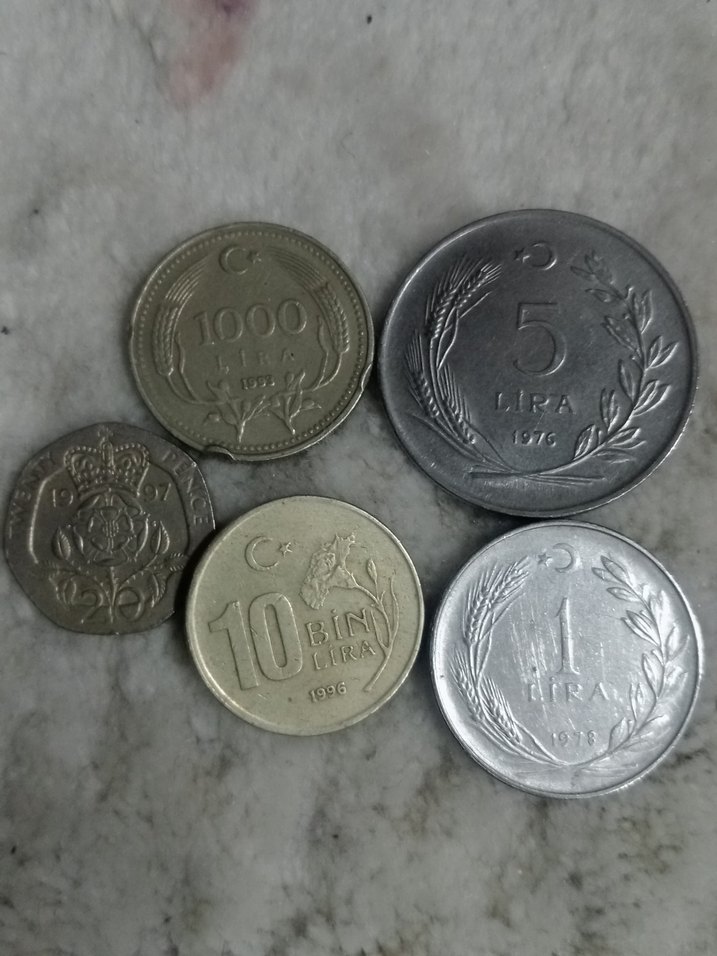 koleksiyonculara özel eski madeni paralar - Görsel 5