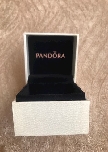 Pandora Charm kutusu