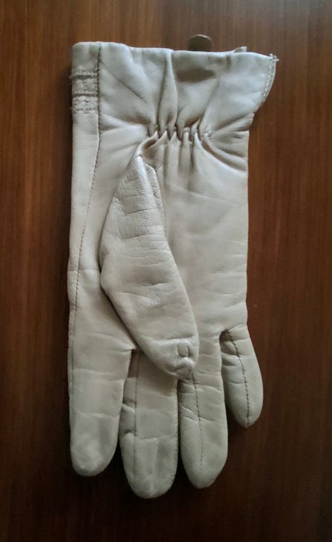 Park Bravo Deri Eldiven - Görsel 3