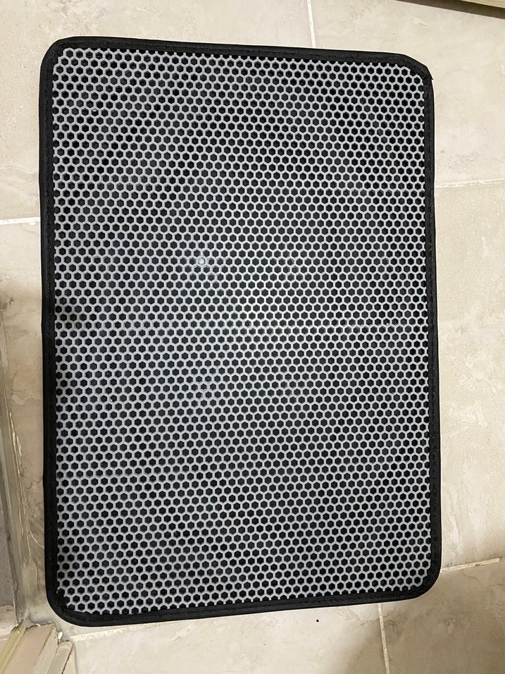 Kedi tuvaleti - Görsel 4