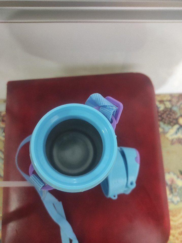 Frozen Temalı Mor Renkli Çocuk Suluk - Görsel 4