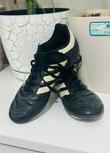 Adidas krampon