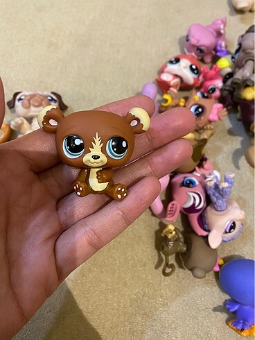 miniş