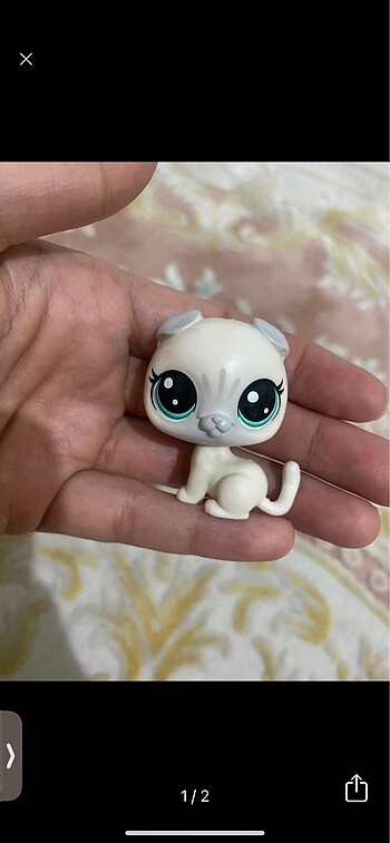miniş