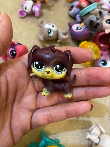 miniş