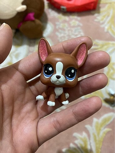 miniş