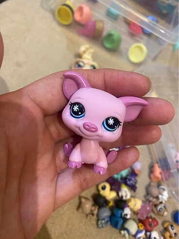 miniş